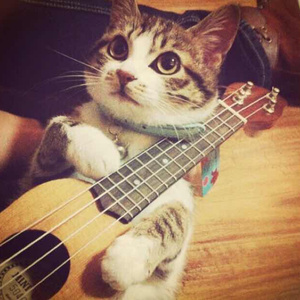 淫女妤羽嗯灬啊灬快灬
