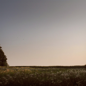 淫女妤羽嗯灬啊灬快灬
